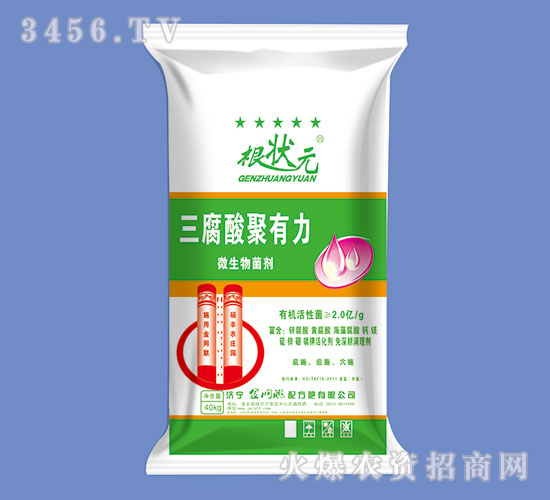 �����������΢�������-����Ԫ-��W(w��ng)(li��n)