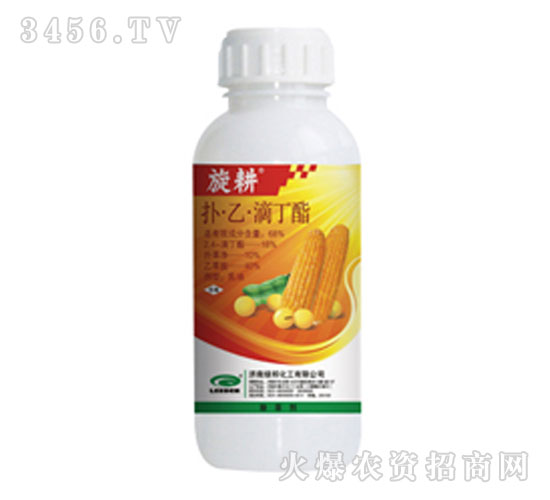 �䡤�ҡ��ζ���-����-�G��