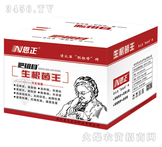 ��������-����ĸ-����