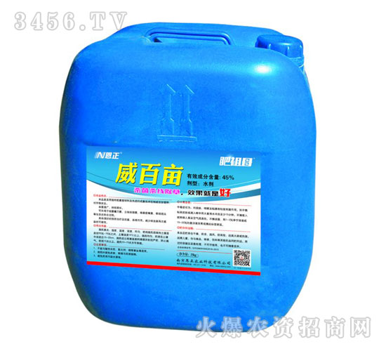 威百畝-肥祖母-恩正