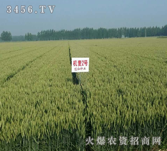 ɽ�r(n��ng)�C��2̖-С��-�|�Ѻ�