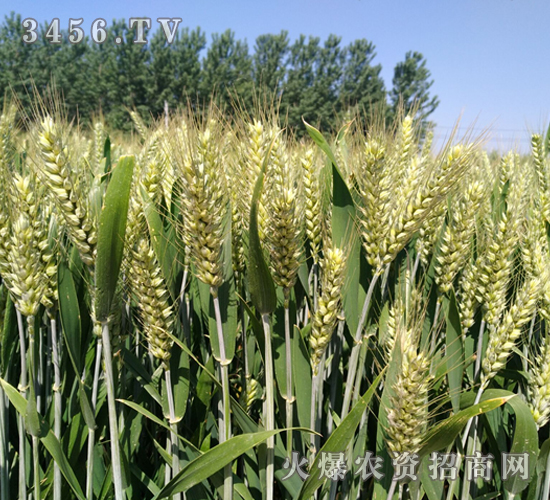 �C(j��)��211-С��-�|�Ѻ�