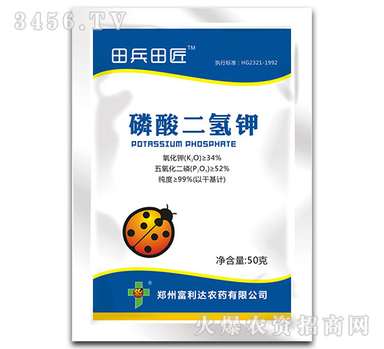 ��������-����ｳ-�����_