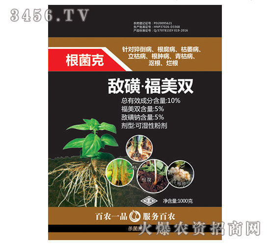 ���ǡ������p������-������-���r(n��ng)˼�_(d��)