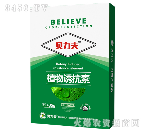 ֲ���T����(��)-ؐ����-� ��S