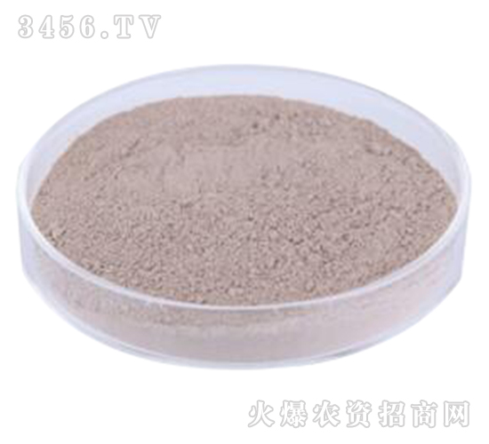 �ͺ�ѿ�ߗU��-�G�]����