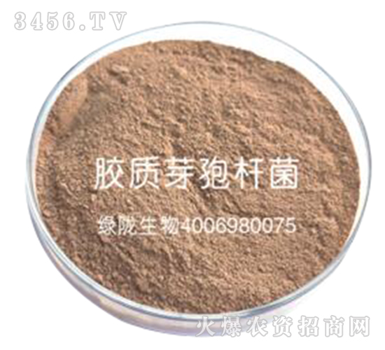 �z�|(zh��)ѿ�ߗU��-�G�]����