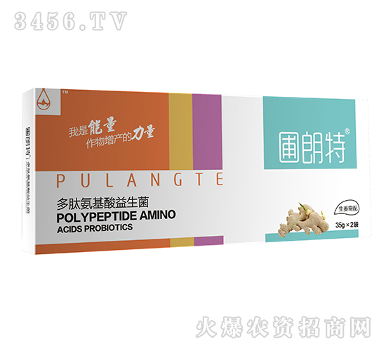 生姜需配-多肽氨基酸益生菌-圃朗特