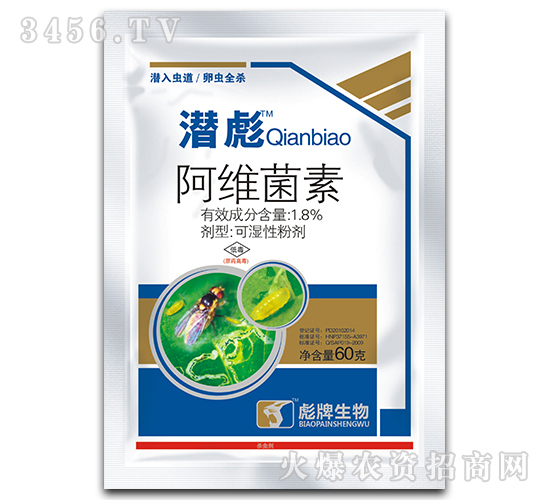 ����-�����x(ch��ng)�����x(ch��ng)���������E