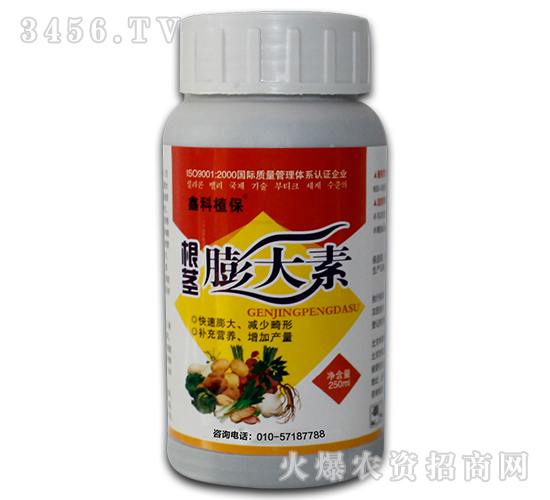 ���o�����-�ο�ֲ��