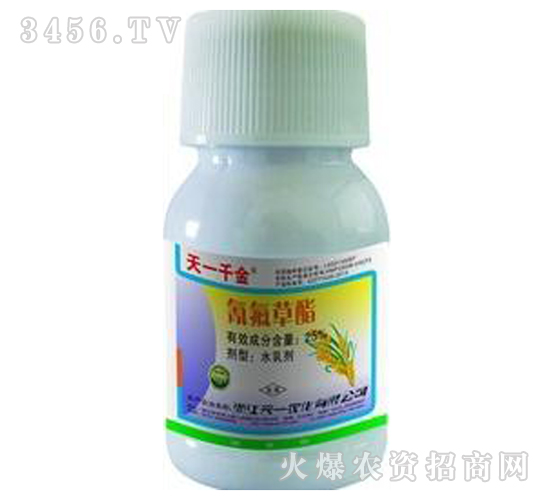 25%�������-��һǧ��-��һ