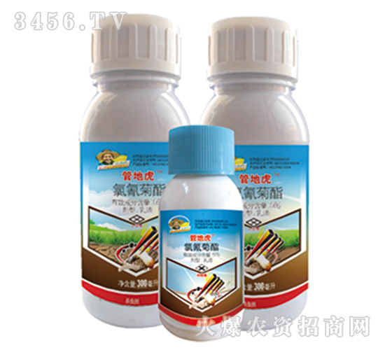 5%�����������-�ܵػ�-�G�µ�