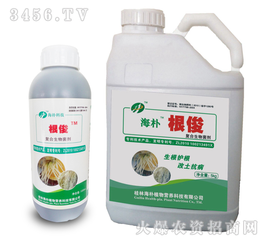 ��(f��)���������-����-����