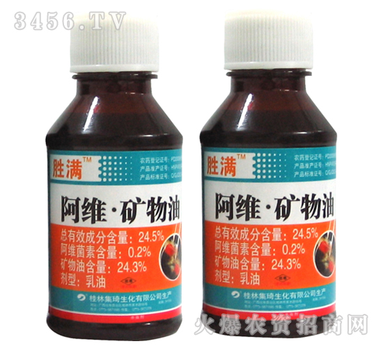 24.5%���S�V����-�ٝM-����