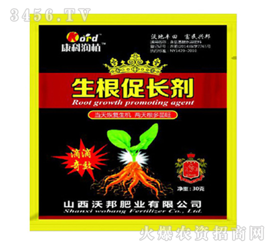 �������L(zh��ng)��-�ְ�