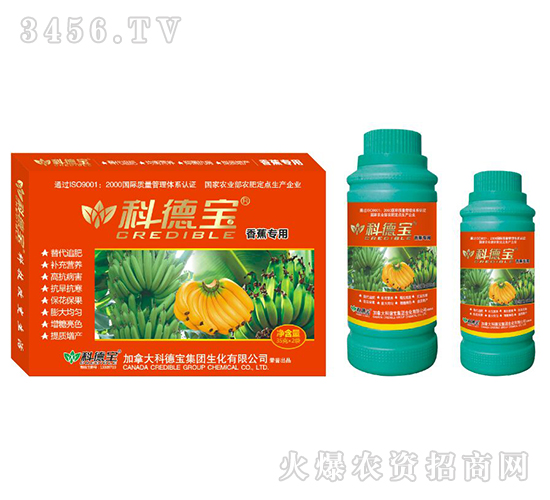 �㽶���àI�B(y��ng)���a(ch��n)�{(di��o)�턩-�Ƶ�