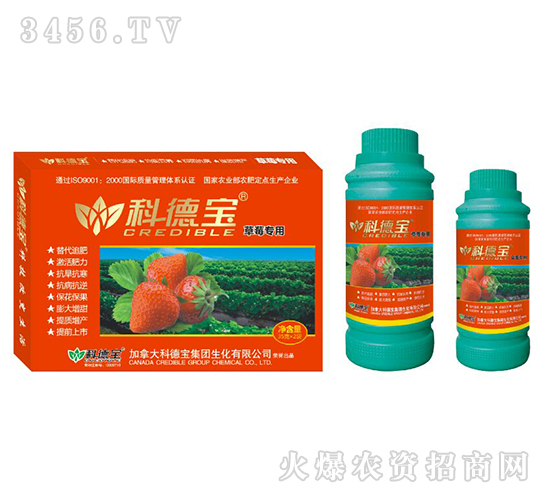 ��ݮ���àI�B(y��ng)���a(ch��n)�{(di��o)�턩-�Ƶ�