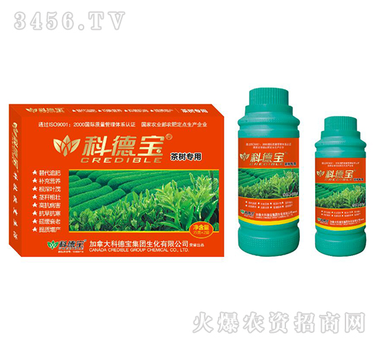 ��䌣�àI�B(y��ng)���a(ch��n)�{(di��o)�턩-�Ƶ�