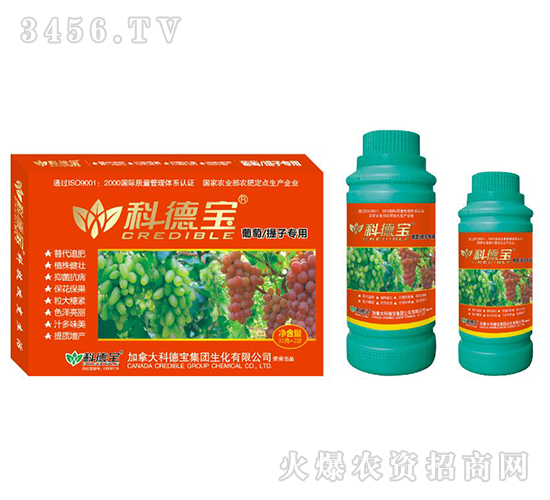 ���������ӌ�(zhu��n)�àI(y��ng)�B(y��ng)���a(ch��n)�{(di��o)�턩-�Ƶ�