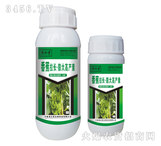 香蕉拉長膨大高產(chǎn)素-郭師傅-立信生物