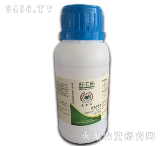 葉菜專用微生物葉面肥-盛金源