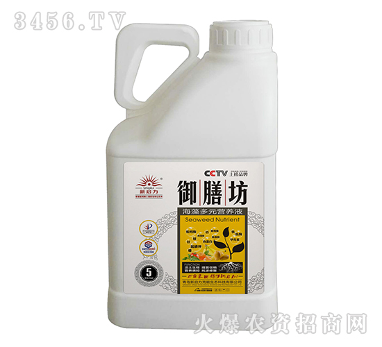 �����Ԫ�I�B(y��ng)Һ5L-���ŷ�-����