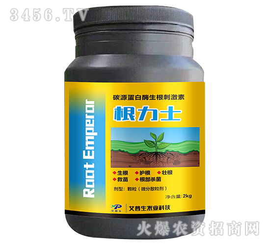 ̼Դ����ø�����̼���-����ʿ-������