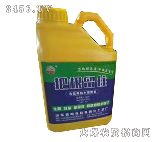 景陽岡系列含氨基酸水溶肥料-把根留住-魯西化工