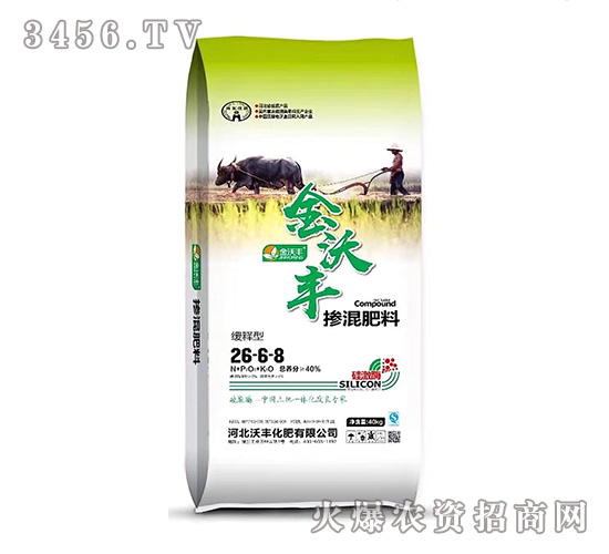 ����͓������26-6-8-�����S