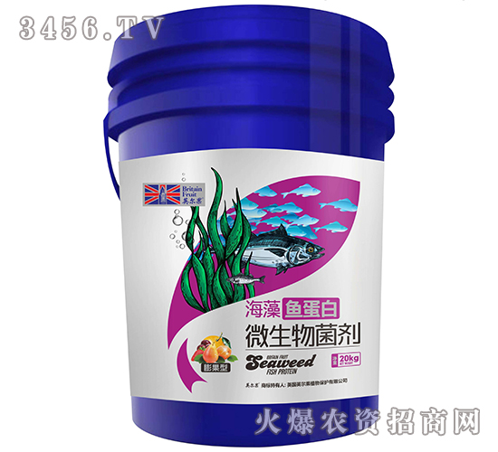 �����΢�������-�����~����-Ӣ����