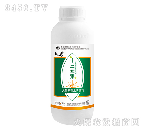 ����Ԫ��ˮ�ܷ�-ʮ��Ԫ��-����