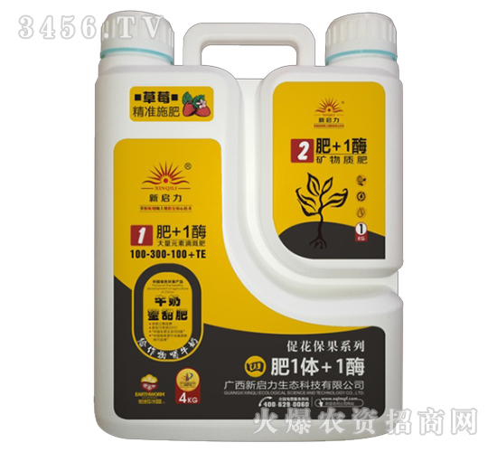 ����Ԫ�صι��100-300-100+TE-�ķ�1�w+1ø-����