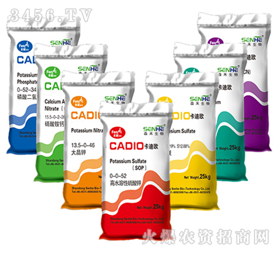 ��ˮ���������-���ϚW-ɭ��