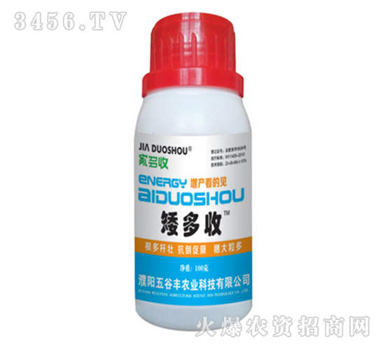 ������-�Ҷ���-����S