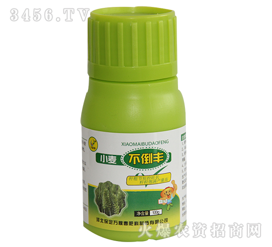 小麥不倒豐-萬(wàn)稼春