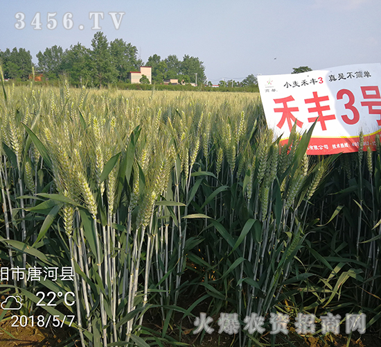 ���S3̖(h��o)���ģ�