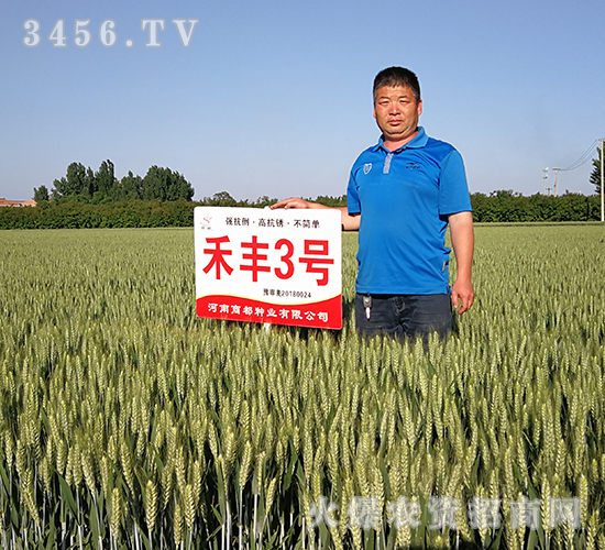 ���S3̖������