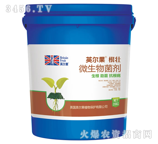 ΢�������-Ӣ��������-Ӣ����