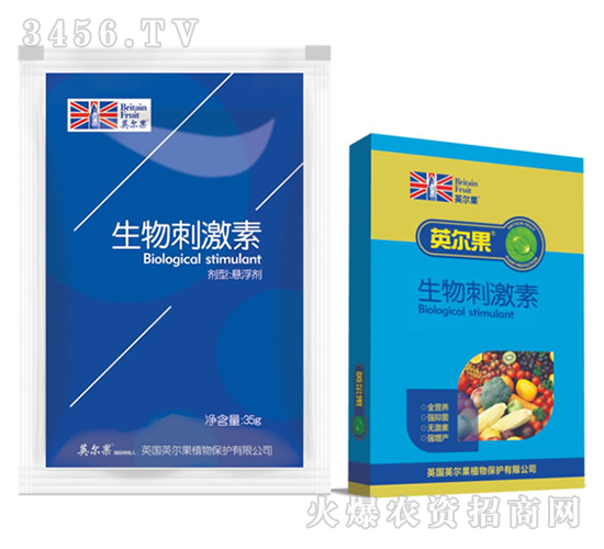 ����̼���-Ӣ����