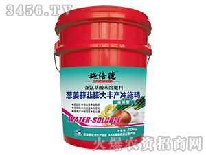 含氨基酸水溶肥料（蔥姜蒜韭膨大豐產(chǎn)沖施精）-施倍德-金正達(dá)農(nóng)