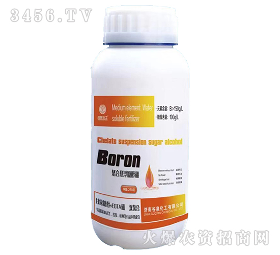 ���ϑҸ��Ǵ���-��Ȫ����