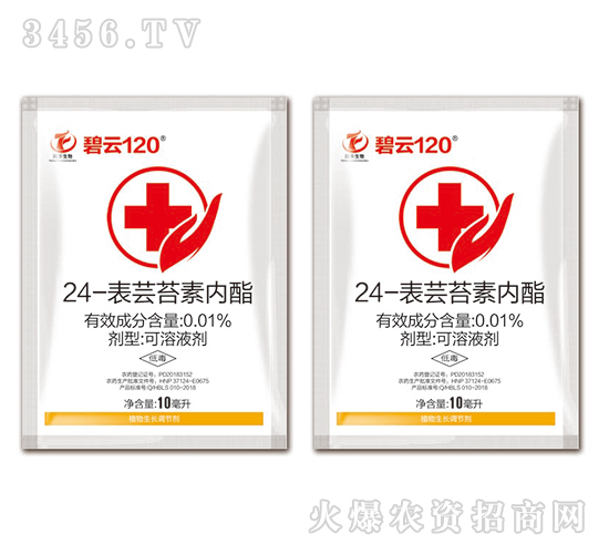 24-���|̦�؃�֬-����120-ͬ�S����