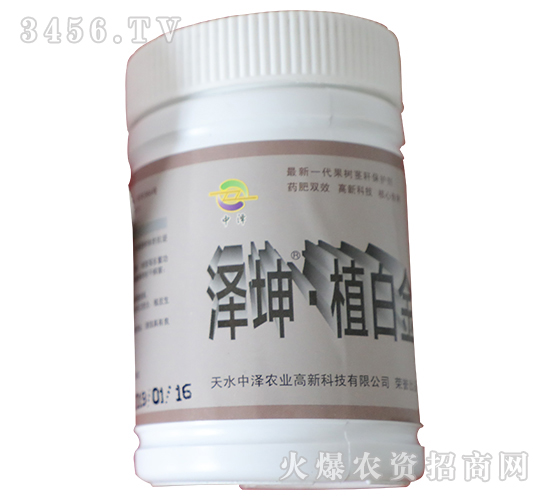 澤坤植白金-中澤-中澤農業(yè)