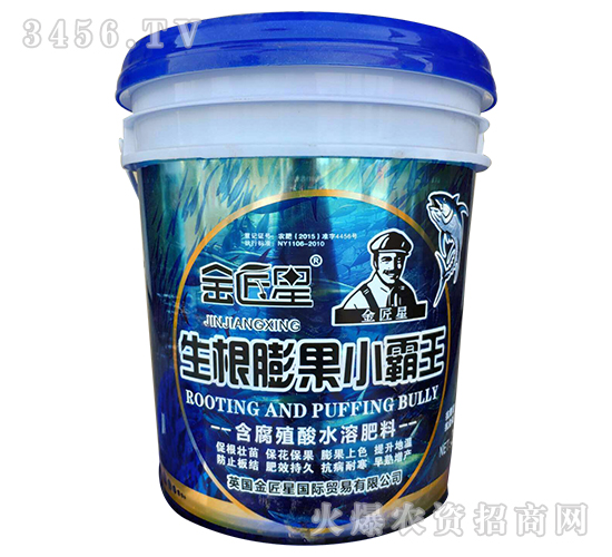 生根膨果小霸王-金匠星