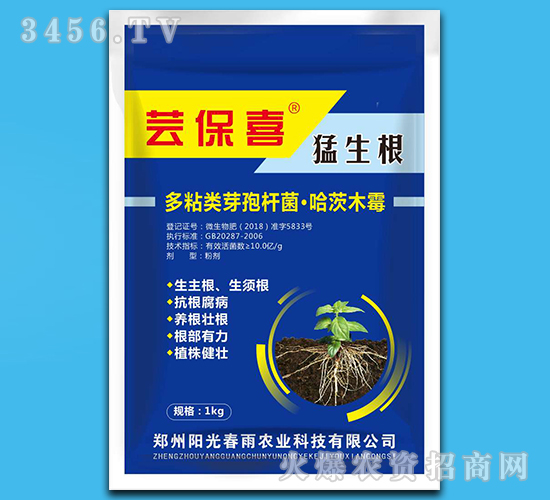 ������-�|��ϲ-ꖹⴺ��