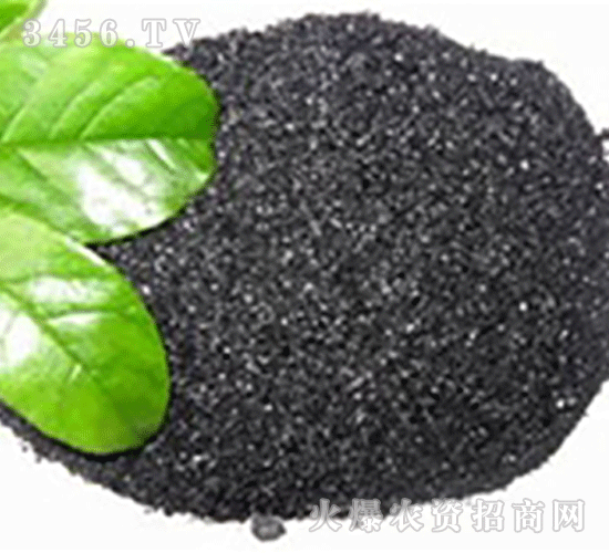 Ƭ�ֲ���-����