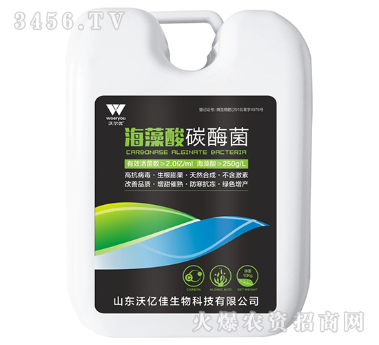 ������̼ø��-�֠���(y��u)