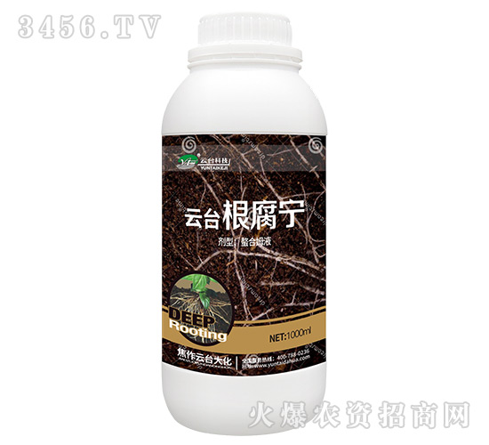 云臺(tái)根腐寧-云臺(tái)大化