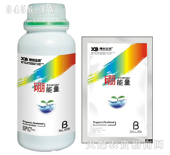 ������-�ذ�����