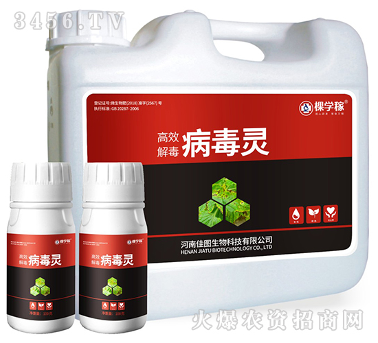 �����`-�ÌW��